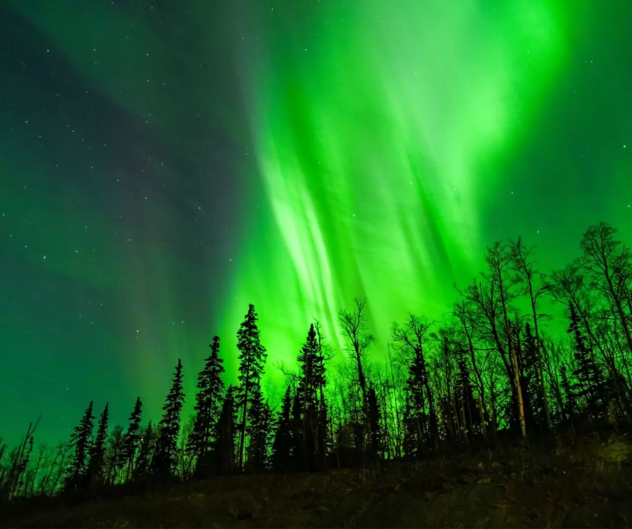 Alaska’da büyüleyici Kuzey Işıkları gecesi 5