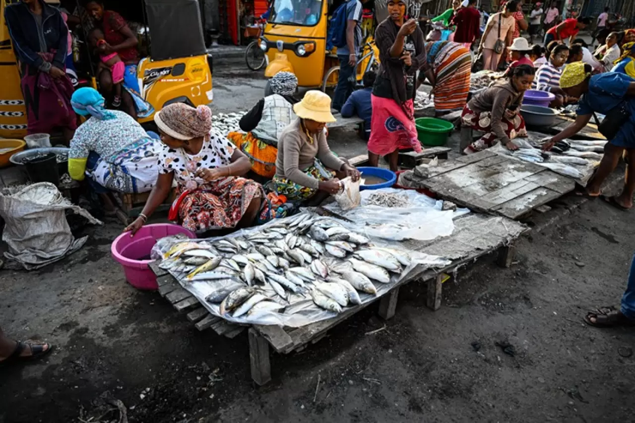 Madagaskar’ın lezzet limanı: Toliara’da deniz kokan bir yaşam 4