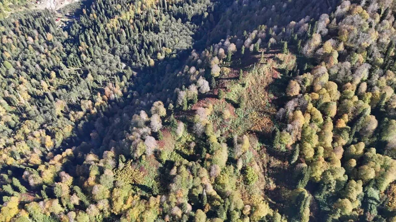 Sonbaharın büyüsü: Borçka Karagöl Tabiat Parkı'nda renk cümbüşü 7