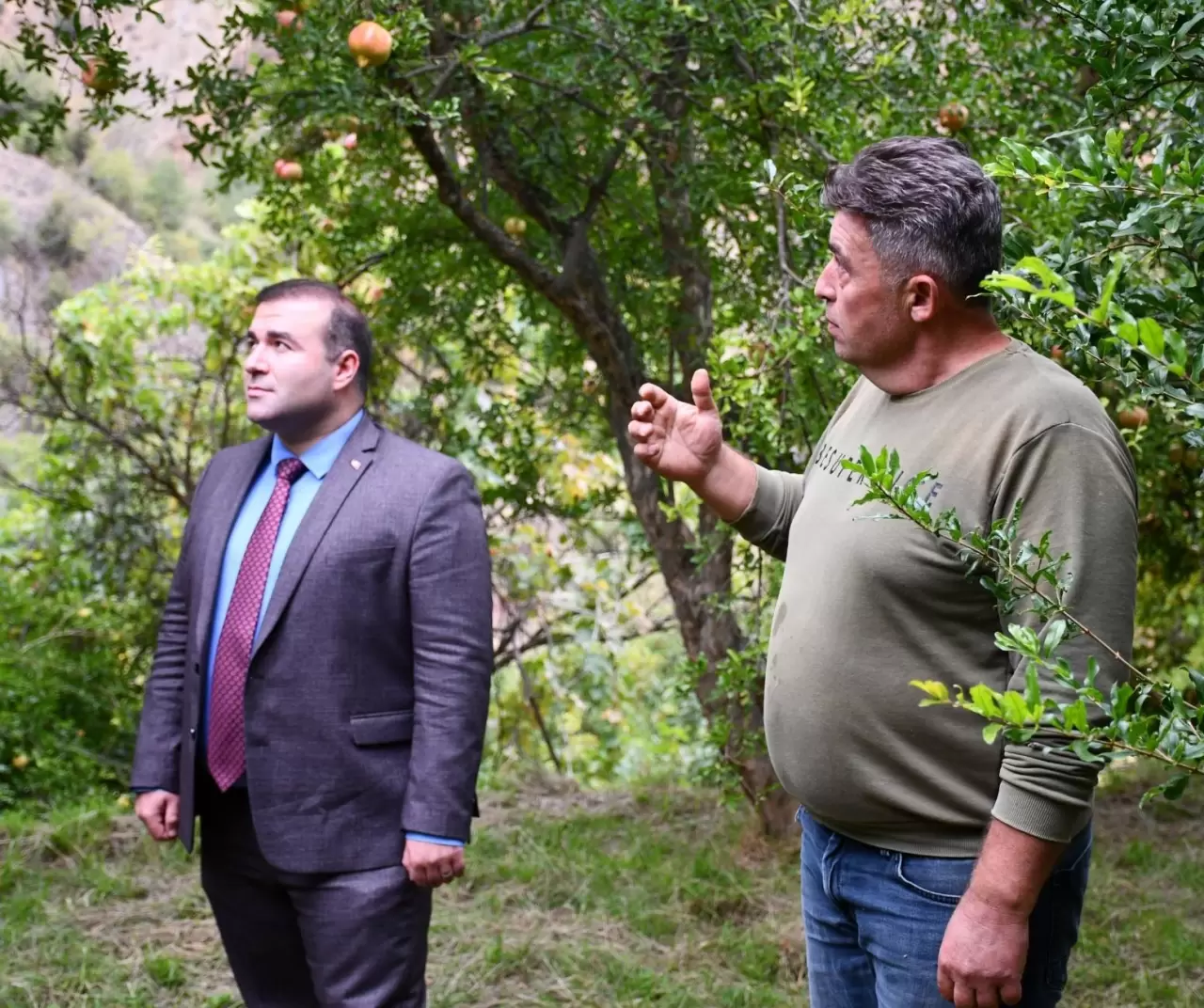 İnhisar’da 4 kuşaktır 'deve dişi nar' geleneği sürdürülüyor 4