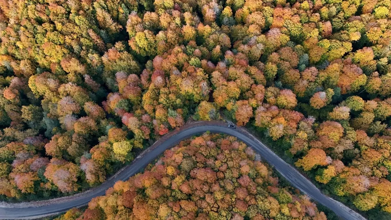 Kırklareli’nin Longoz ve Istranca ormanlarında sonbahar büyüsü 4