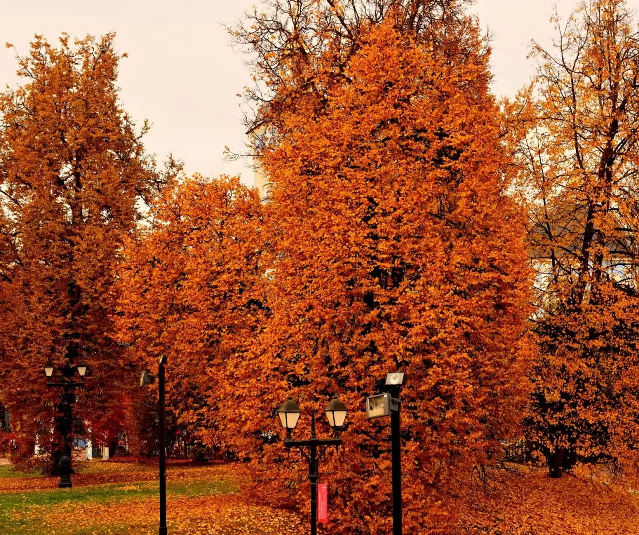 Tsaritsıno Sarayı’nda altın sonbahar büyüsü 9