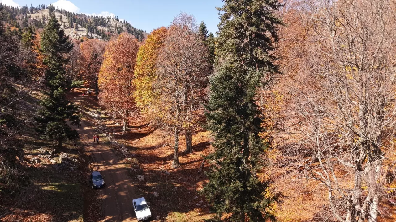 Adana'da sonbahar güzelliği: Adeta doğa sanata dönüştü 2