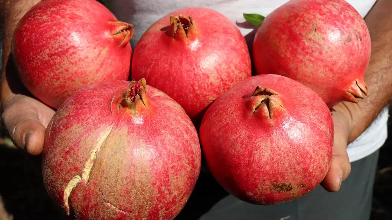 Antioksidan kaynağı en güçlü meyve 2