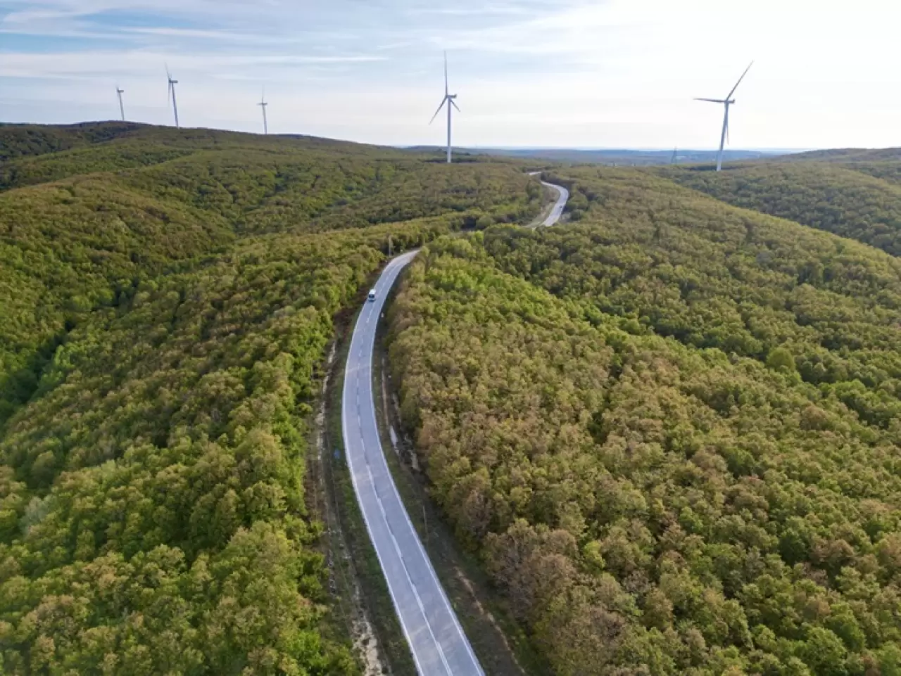 Tekirdağ'da ormanlar güz renklerine büründü 3