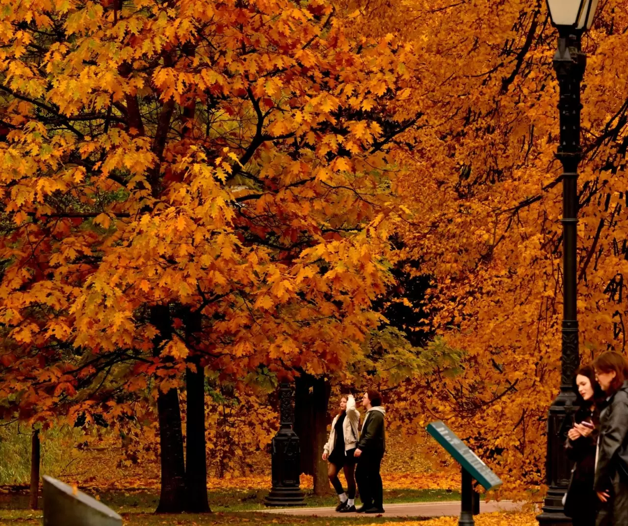 Tsaritsıno Sarayı’nda altın sonbahar büyüsü 3