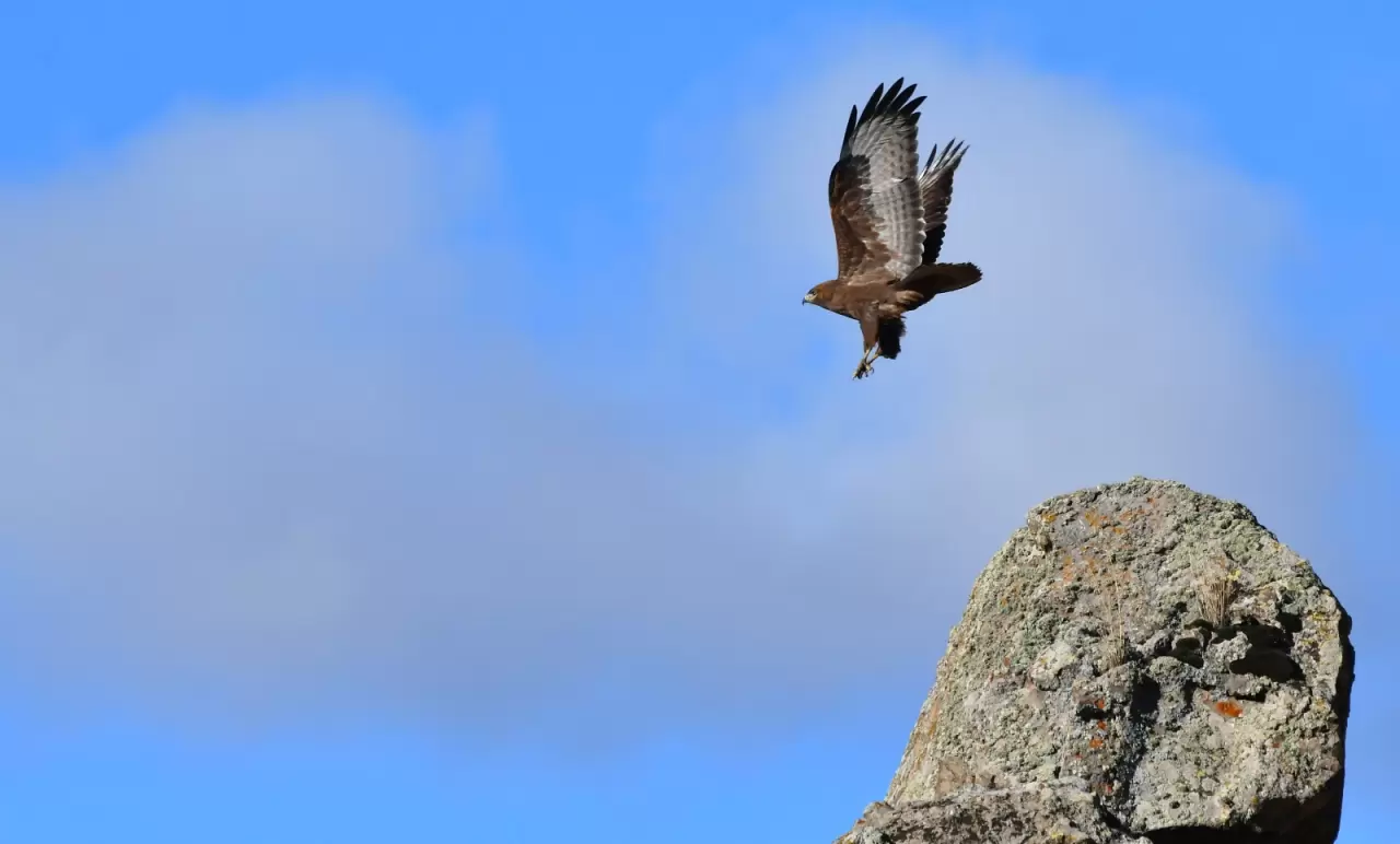 Keklik Vadisi sonbahar renklerine büründü 3