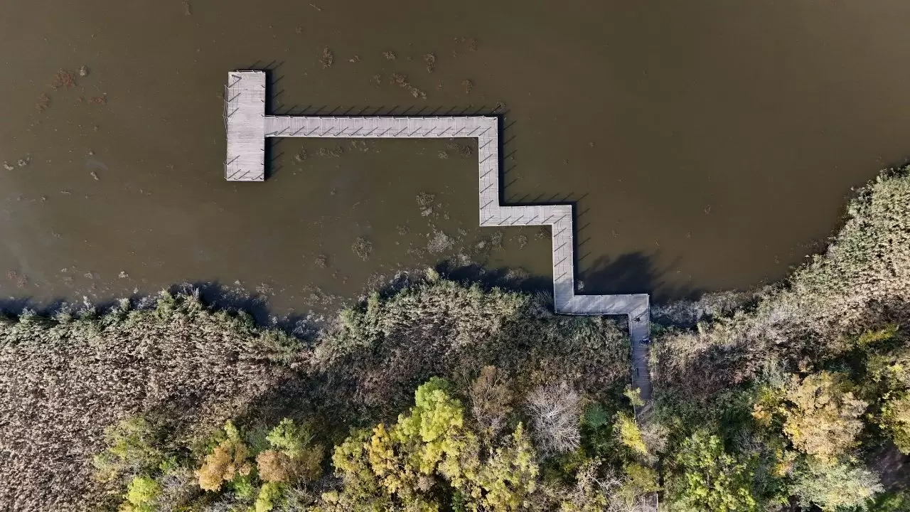 Kırklareli’nin Longoz ve Istranca ormanlarında sonbahar büyüsü 5