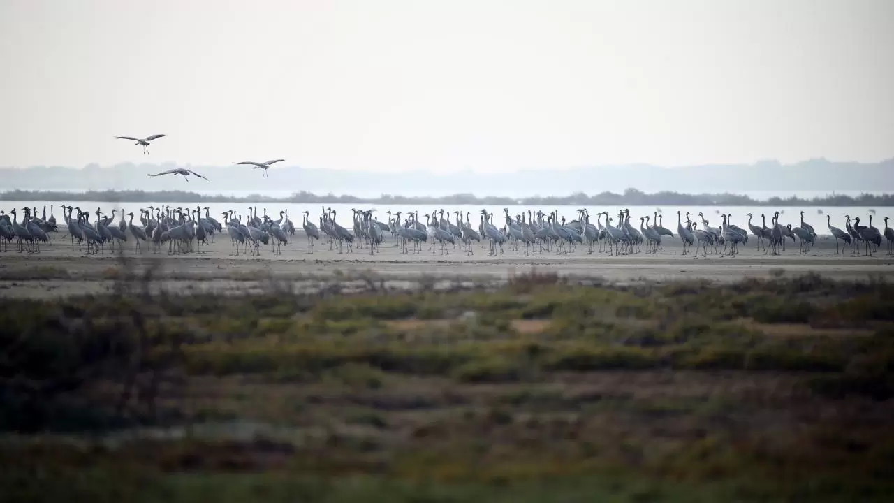 Yumurtalık Lagünü’nde renkli sonbahar 5