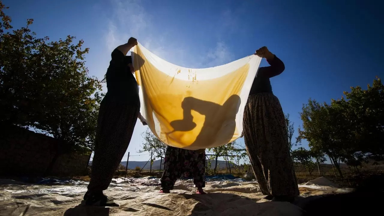 Mardin’de bağ bozumu geleneği sürüyor 9