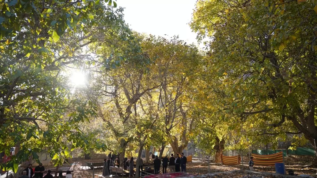 Havraman sonbahar renklerine büründü 7