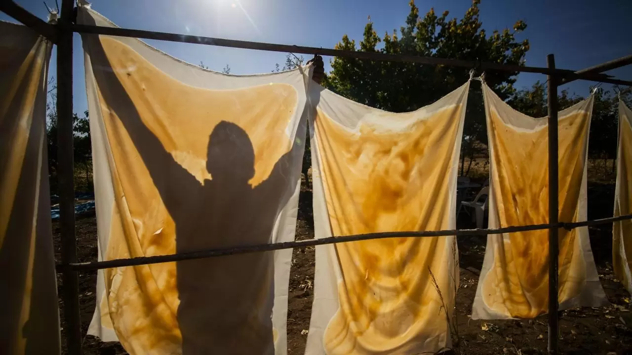 Mardin’de bağ bozumu geleneği sürüyor 12