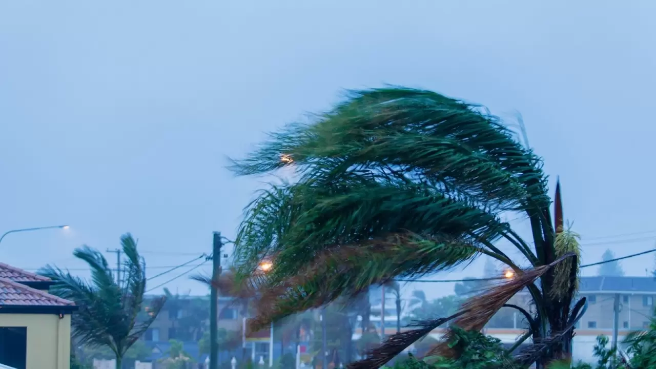 Meteoroloji’den sürpriz uyarı! Bu şehirlerde sağanak ve sis alarmı: Sıcaklıklar mevsim normallerinin üzerine çıkıyor! 4