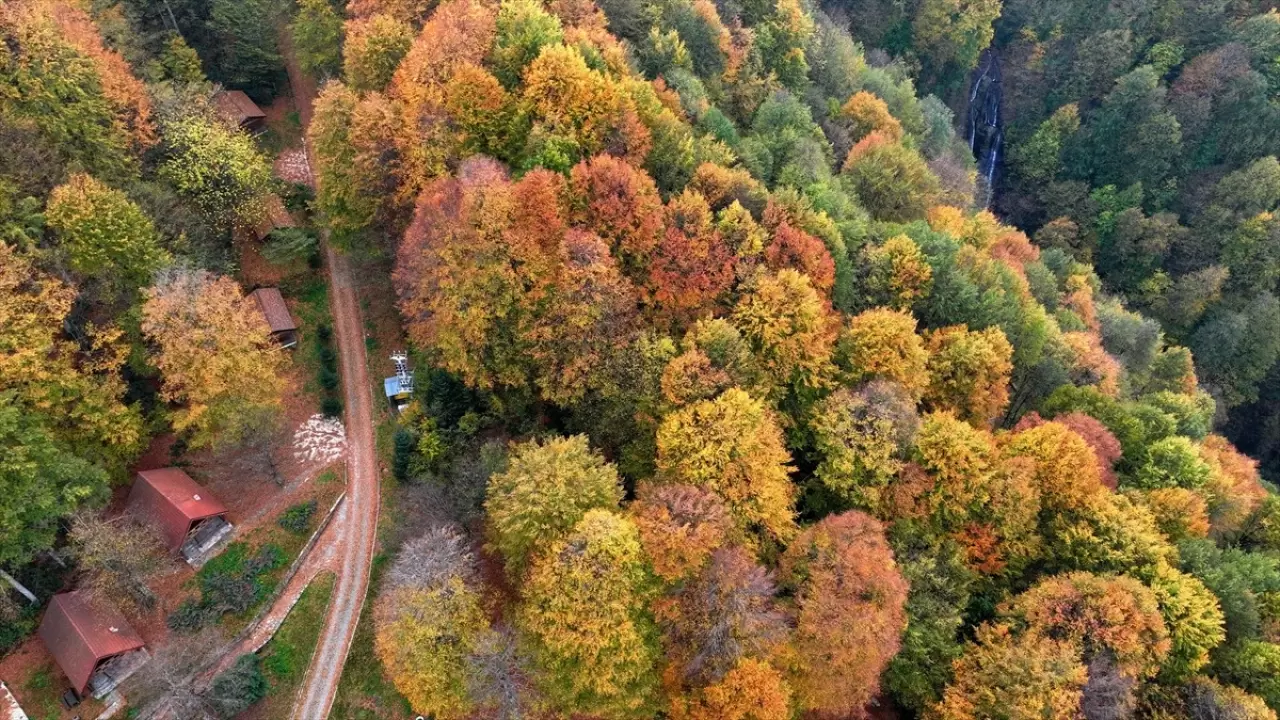 Güzeldere Şelalesi Tabiat Parkı'nda sonbahar renkleri 2