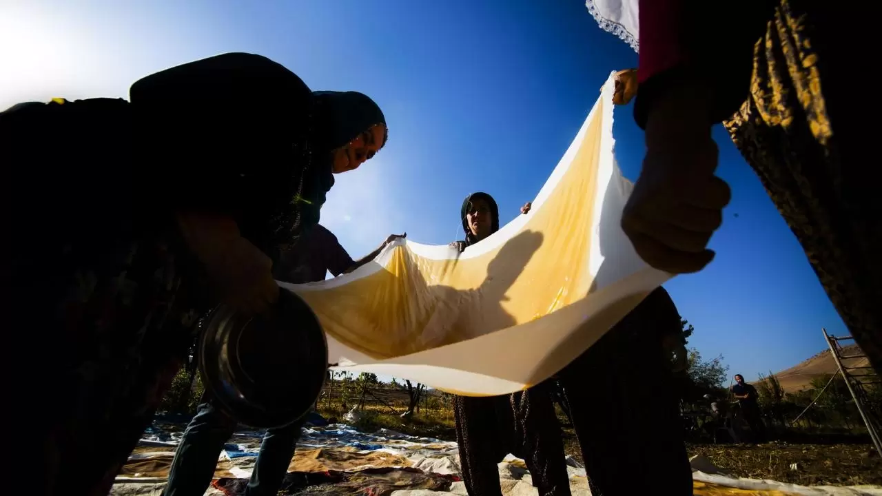 Mardin’de bağ bozumu geleneği sürüyor 6