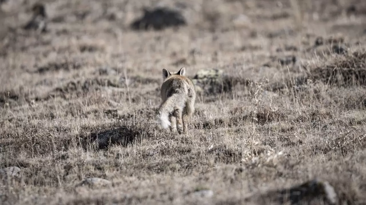 Gören döndü bir daha baktı! 4