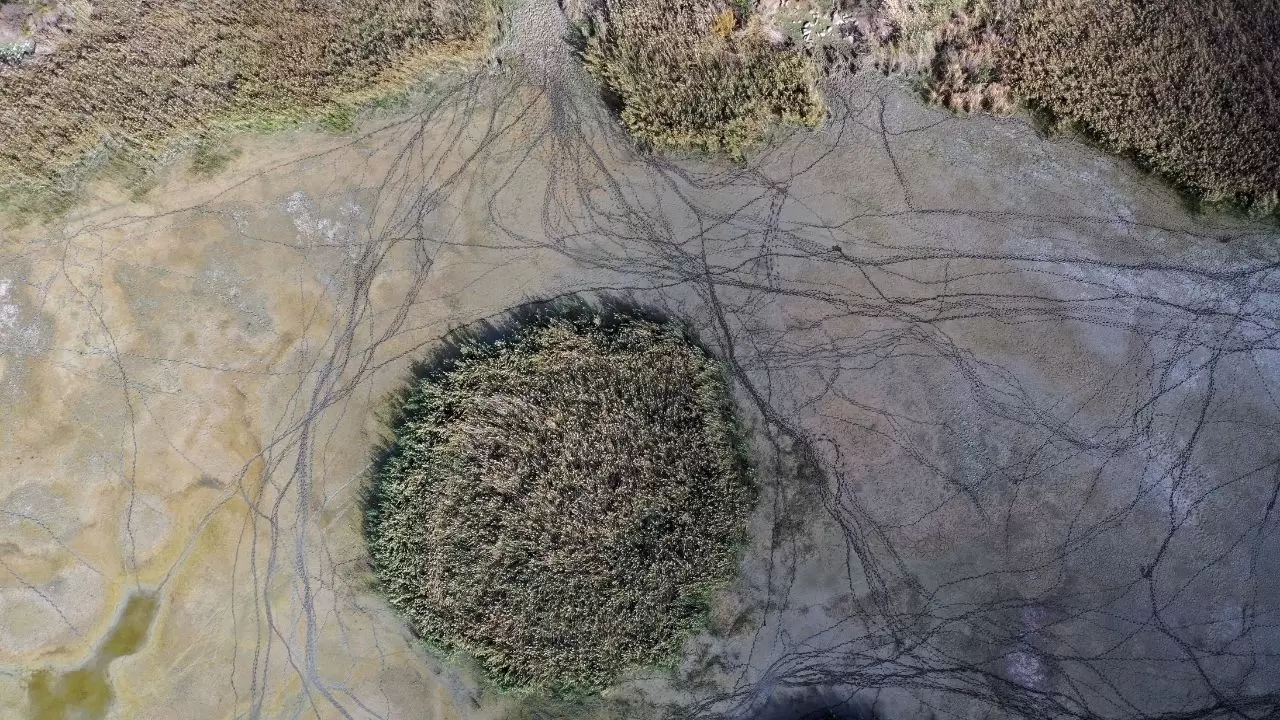 Ege’nin kartpostallık gölü kuruyor! Kuşlar ve canlılar ölümle mücadele ediyor 5