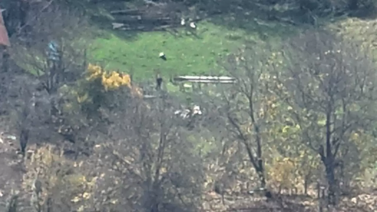 Dronla kayıp sürü bulundu: 30 hayvan 1 günde kurtarıldı! 2