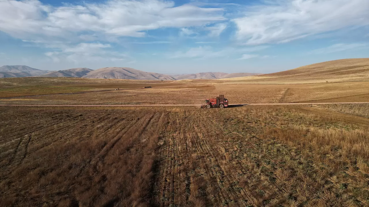 Bayburt'ta şeker pancarı üretim alanı 5 yılda 6 kat arttı 4