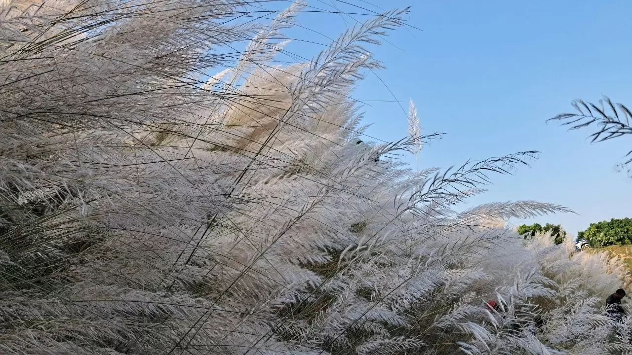 Kuvvetli yağış kapıda! Meteoroloji uyardı: Bu gece başlıyor, yarın etkisini artıracak 2