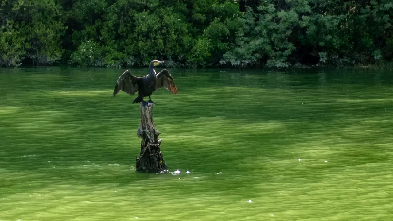 Doğaseverler Karacaören 2 Baraj Gölü'nü tekneyle geziyor 12