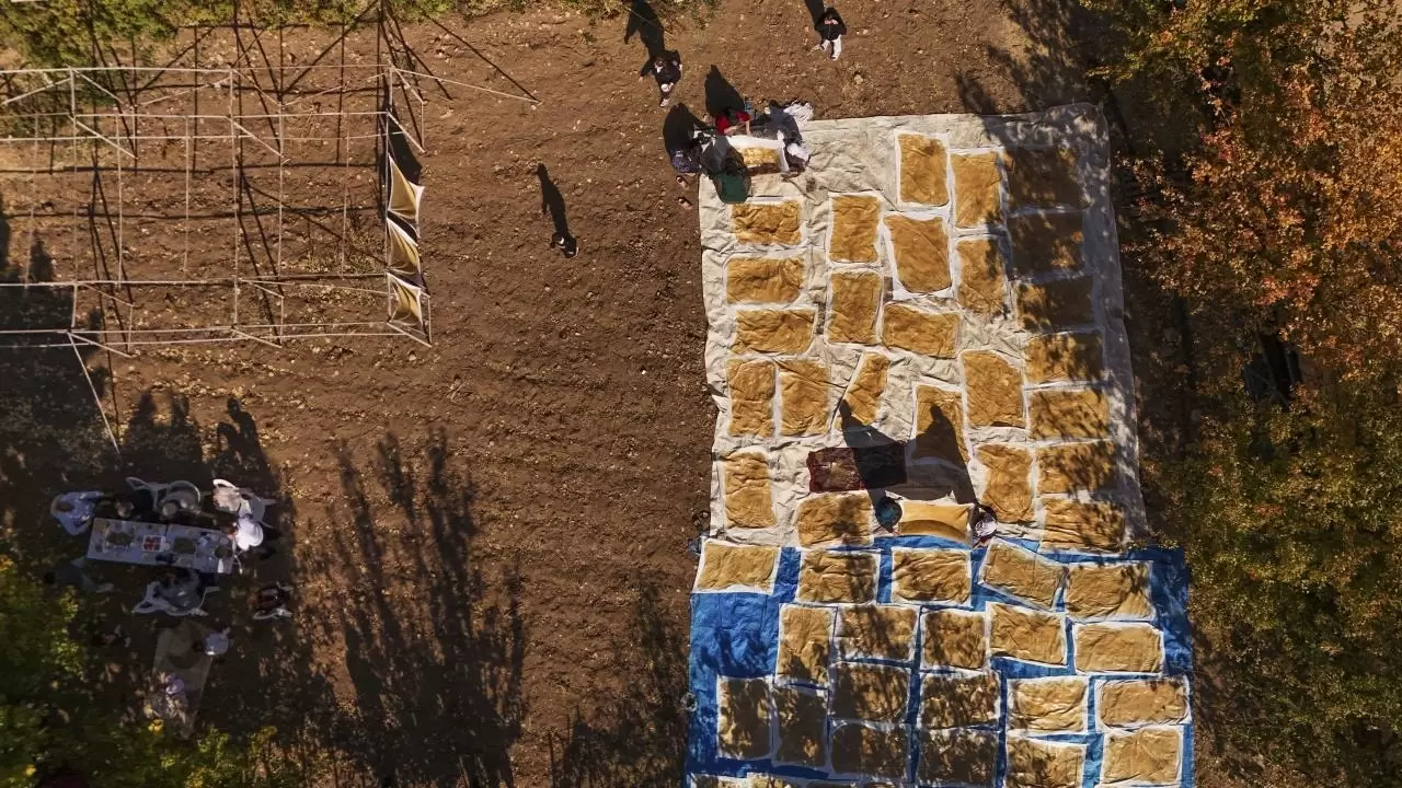 Mardin’de bağ bozumu geleneği sürüyor 4