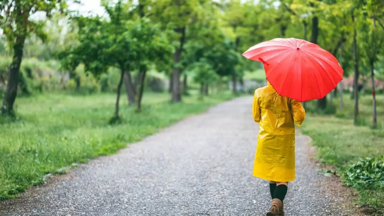Meteoroloji uyardı: Kuvvetli sağanak yağış geliyor! İşte il il hava durumu (12 Kasım 2025) 1