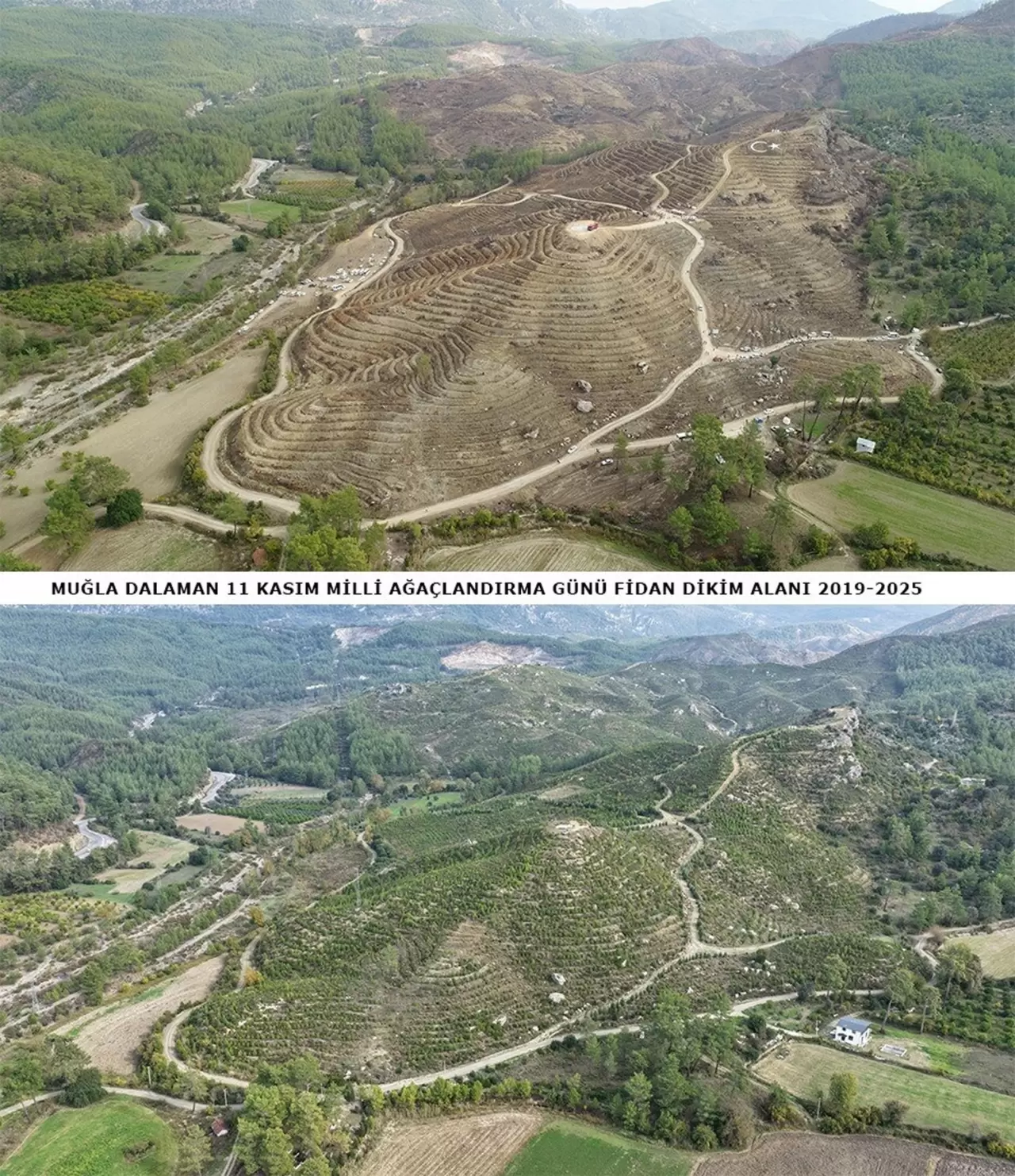 6 yıl önce dikilen fidanlar geleceğe nefes oldu 4