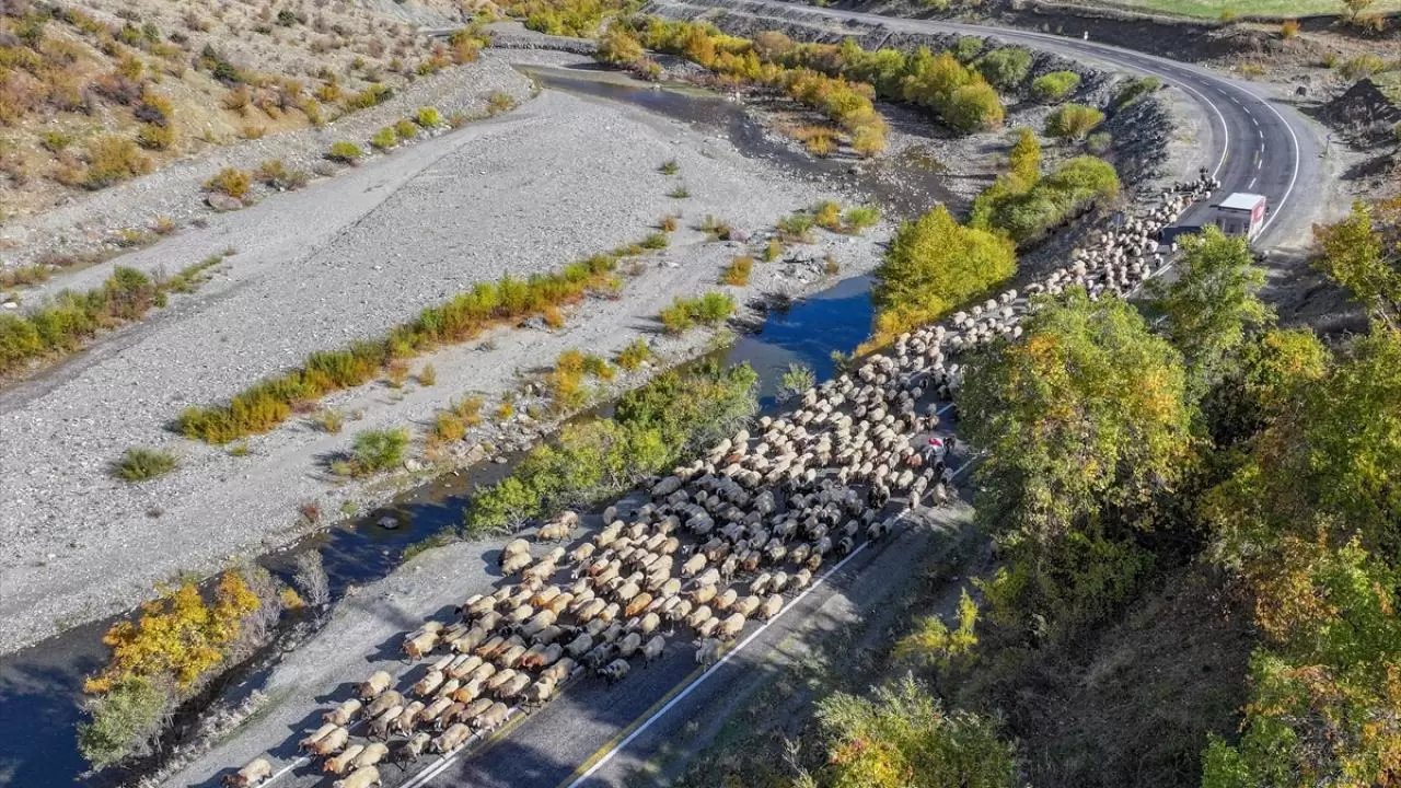 Göçerler 3 bin rakımlı yaylalardan kışlaklara dönüyor 2