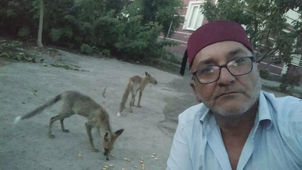 Amasya’da küs kardeşlerin tilkilere olağanüstü merhameti 2