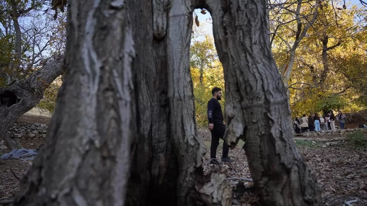 Havraman sonbahar renklerine büründü 8
