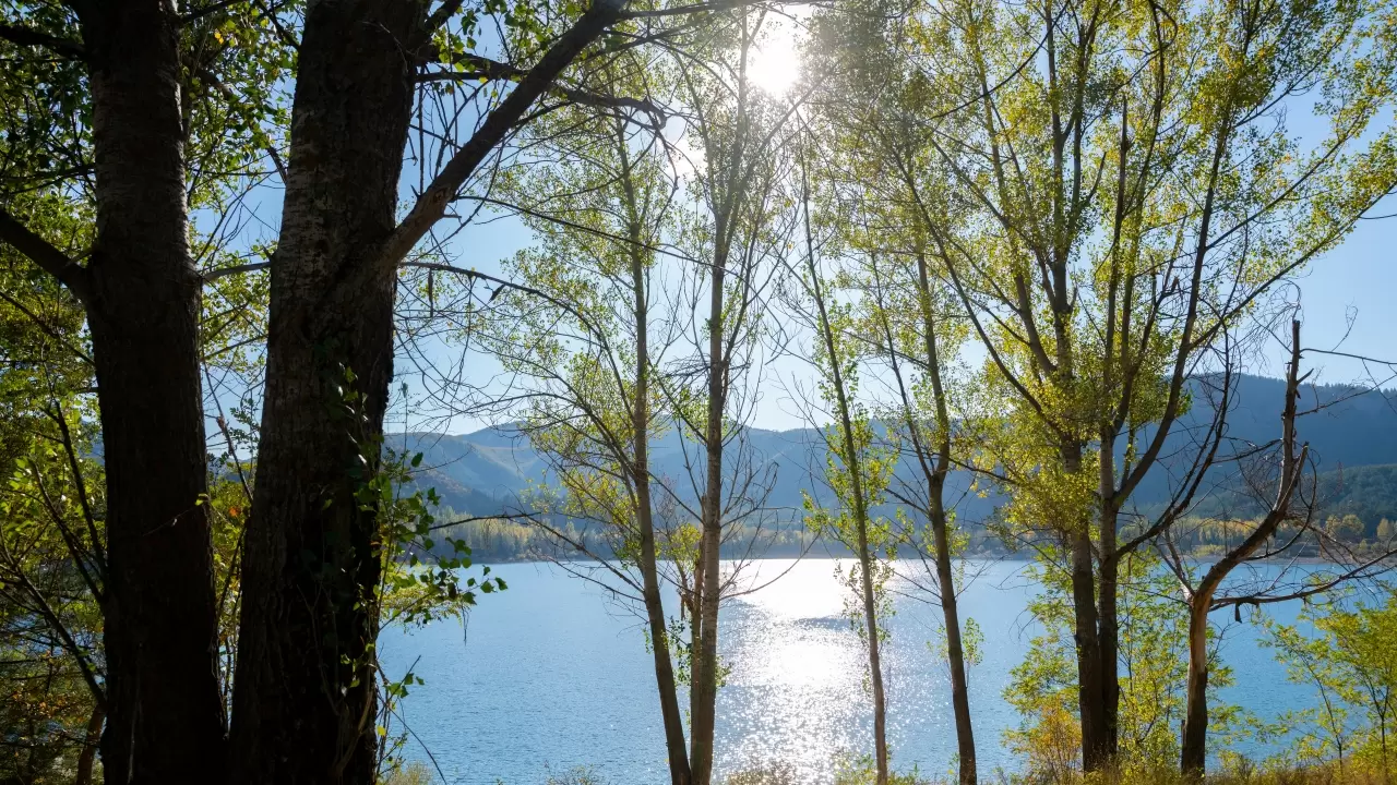 Gölcük Tabiat Parkı’nda sonbahar renk cümbüşü büyülüyor 2