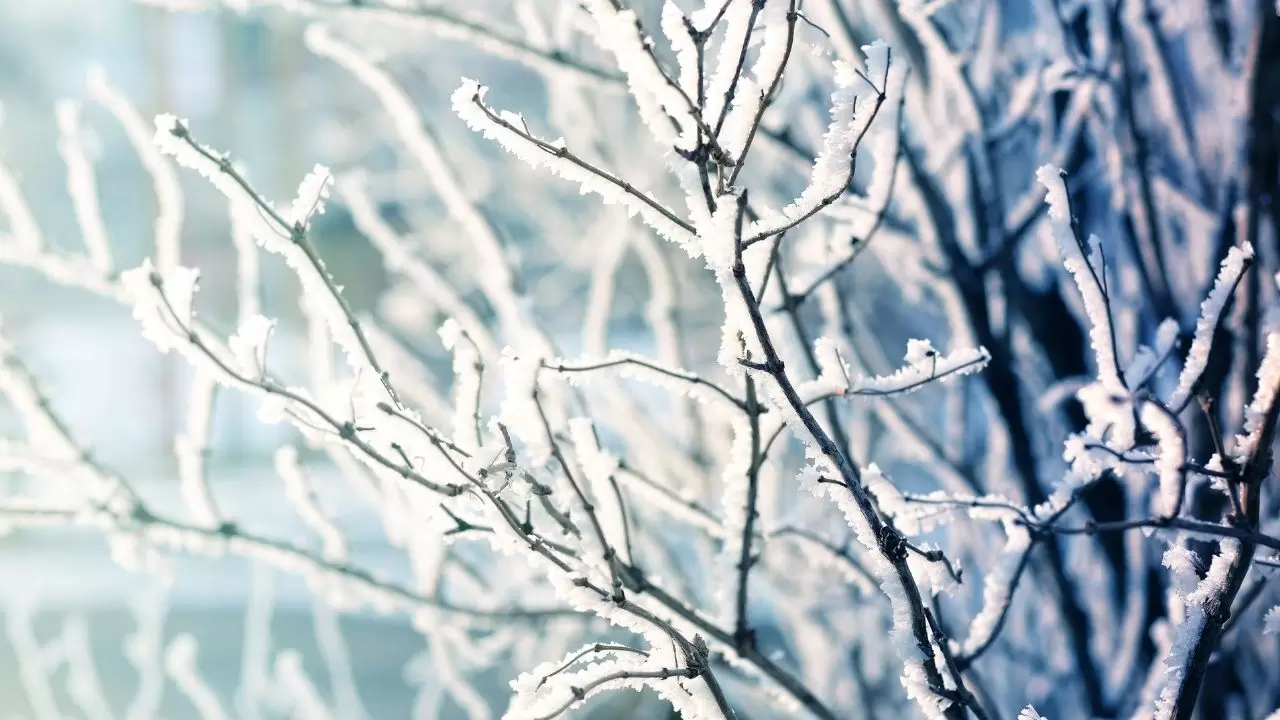 Meteoroloji’den kritik uyarı! 16 ilde kuvvetli yağış ve kar bekleniyor: İşte il il hava durumu 2