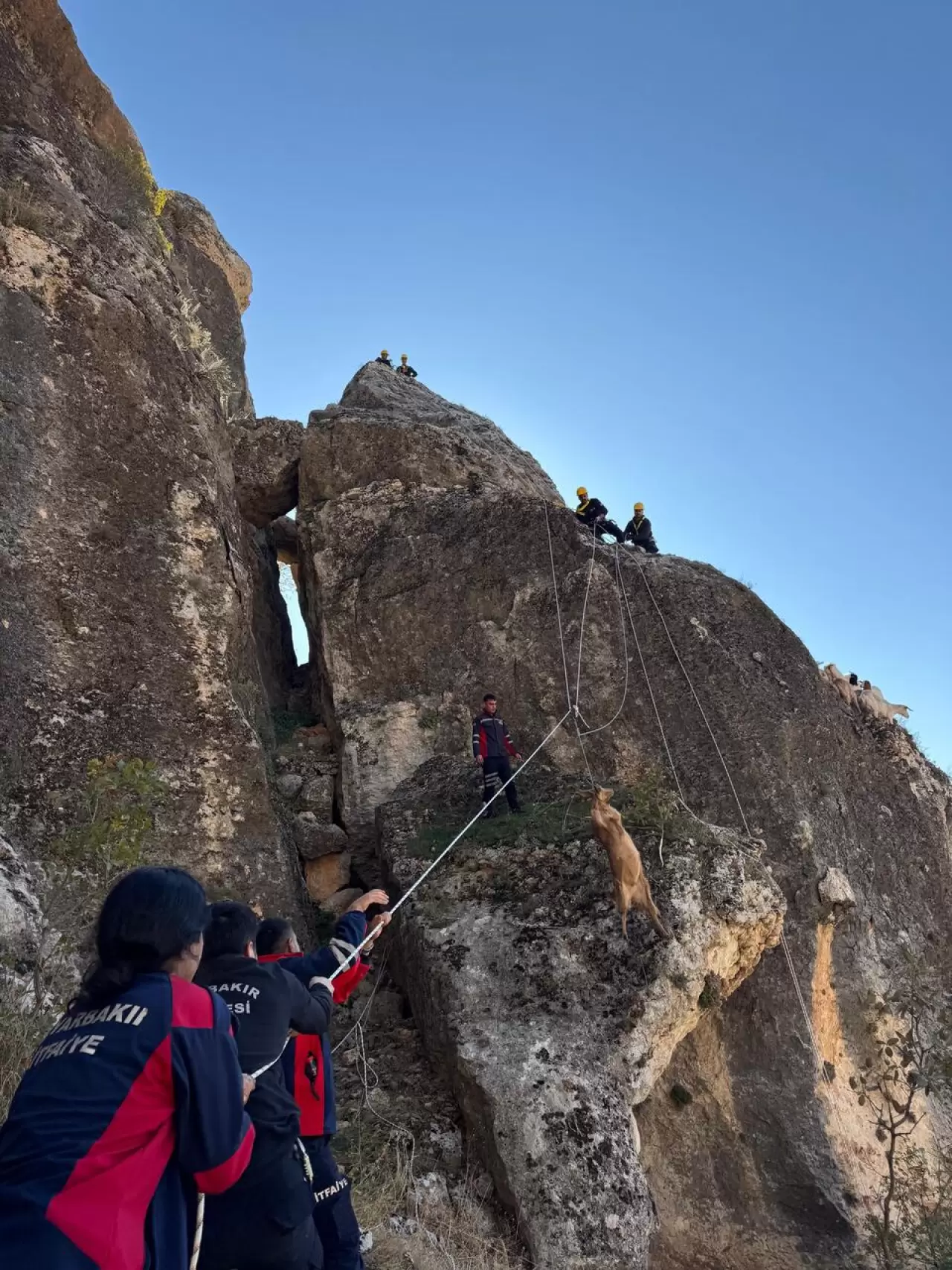 Diyarbakır'da kayalıklarda mahsur kalan 25 keçi kurtarıldı 3