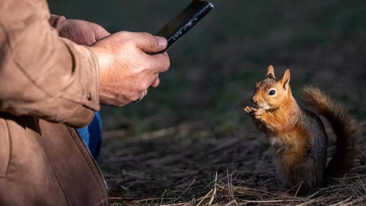 Seğmenler Parkı'nın sevimli sakinleri 4