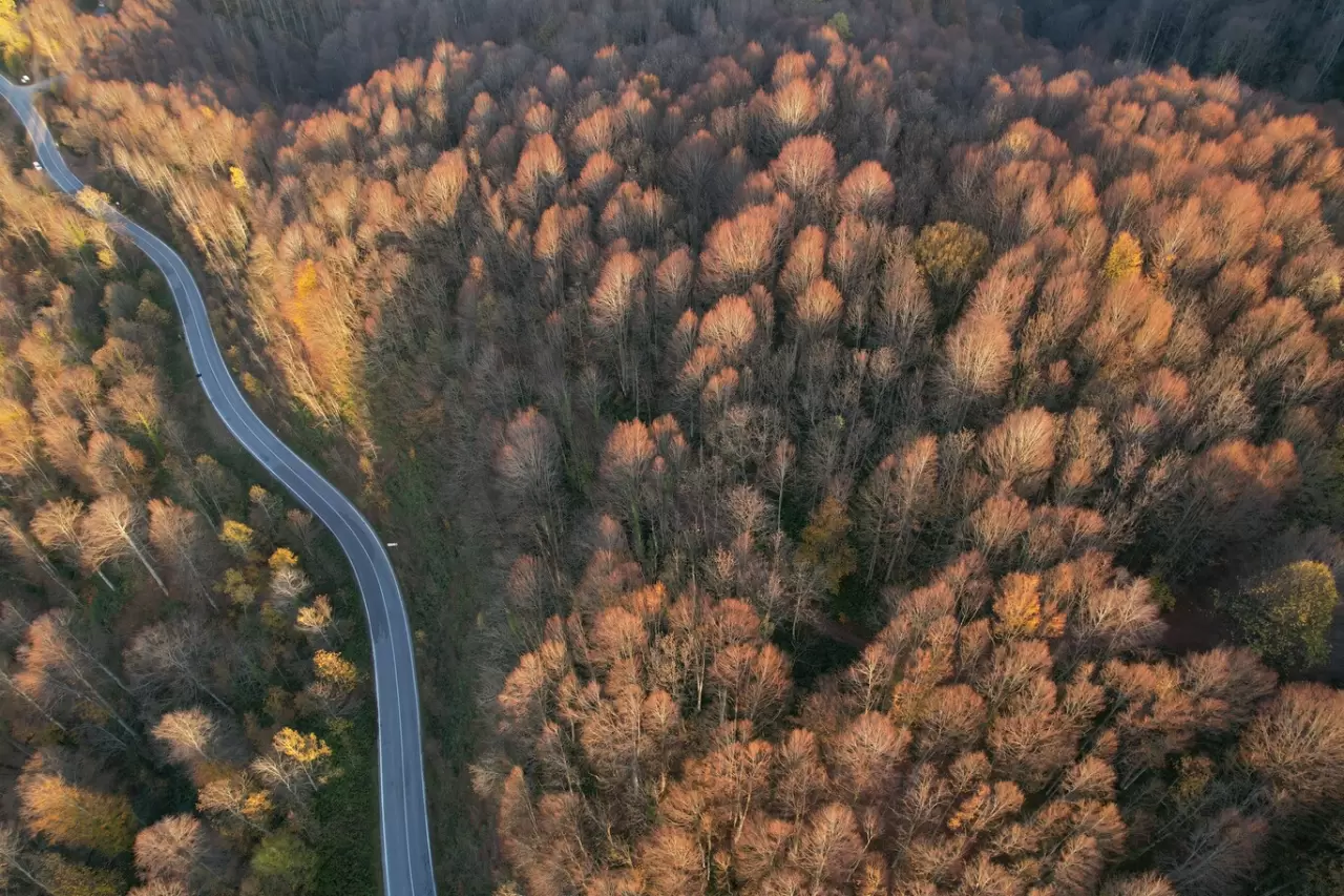 Sonbaharda Çam Dağı'nda renk cümbüşü: Doğanın görsel şöleni 8