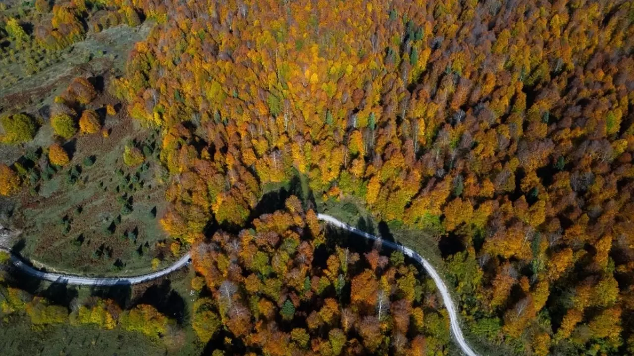 Güzeldere Şelalesi Tabiat Parkı'nda sonbahar renkleri 10