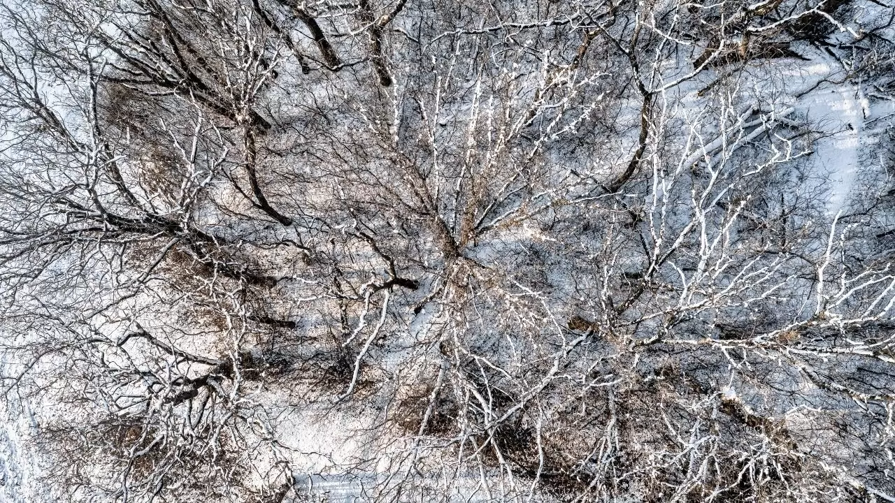 Meteoroloji uyardı! Yurtta parçalı ve çok bulutlu hava hakim olacak 14