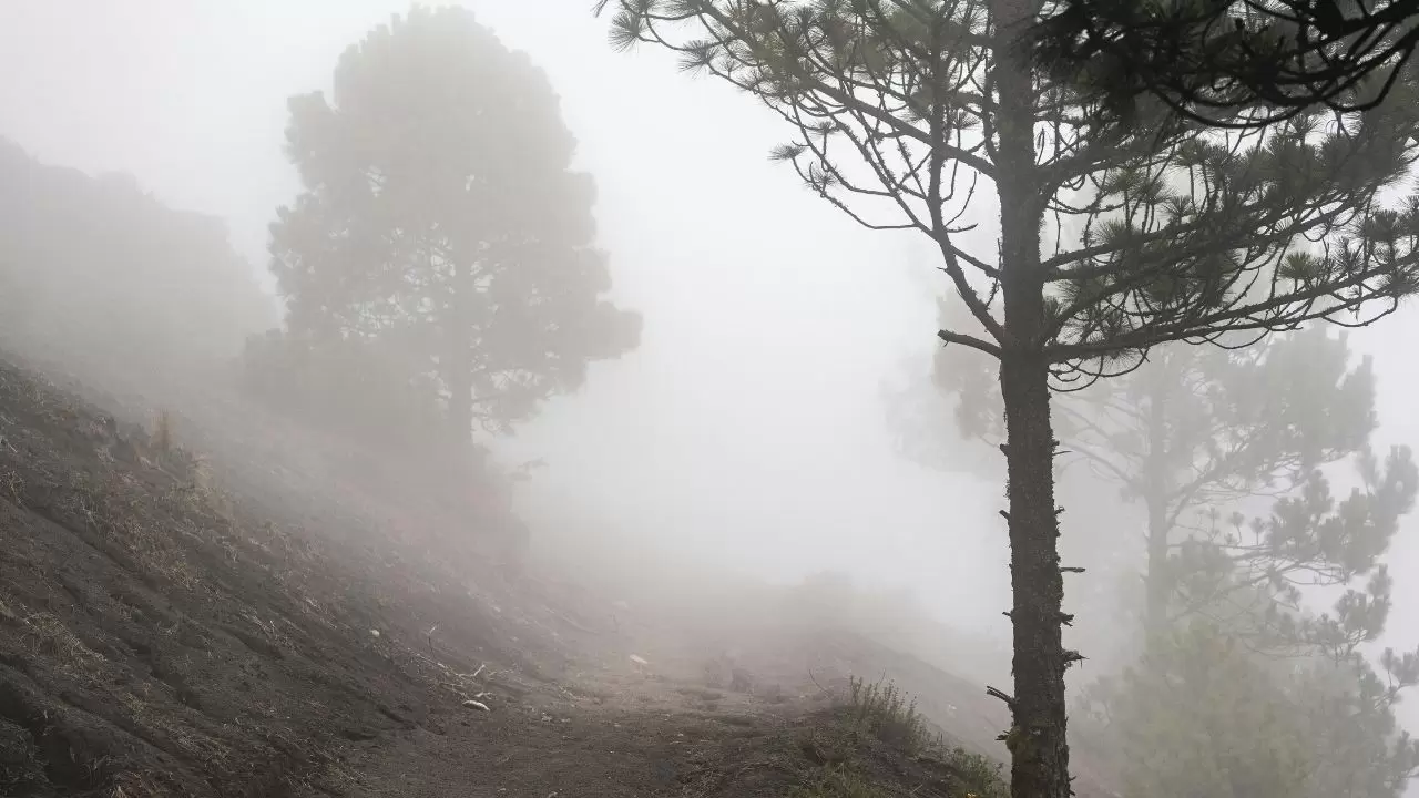 Meteoroloji’den uyarı: Birçok bölgede sağanak, sis ve pus etkili olacak 8