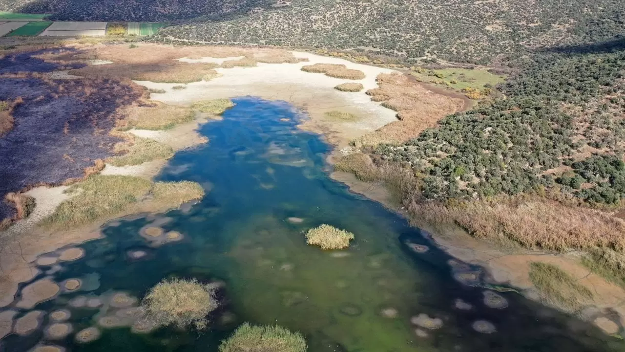Ege’nin kartpostallık gölü kuruyor! Kuşlar ve canlılar ölümle mücadele ediyor 3