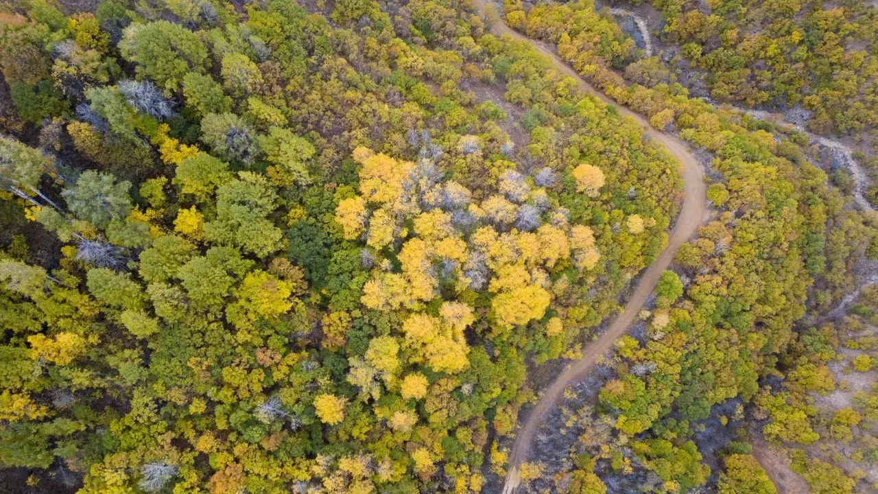 Tunceli'nin gizli cenneti: Salördek Ormanları 4