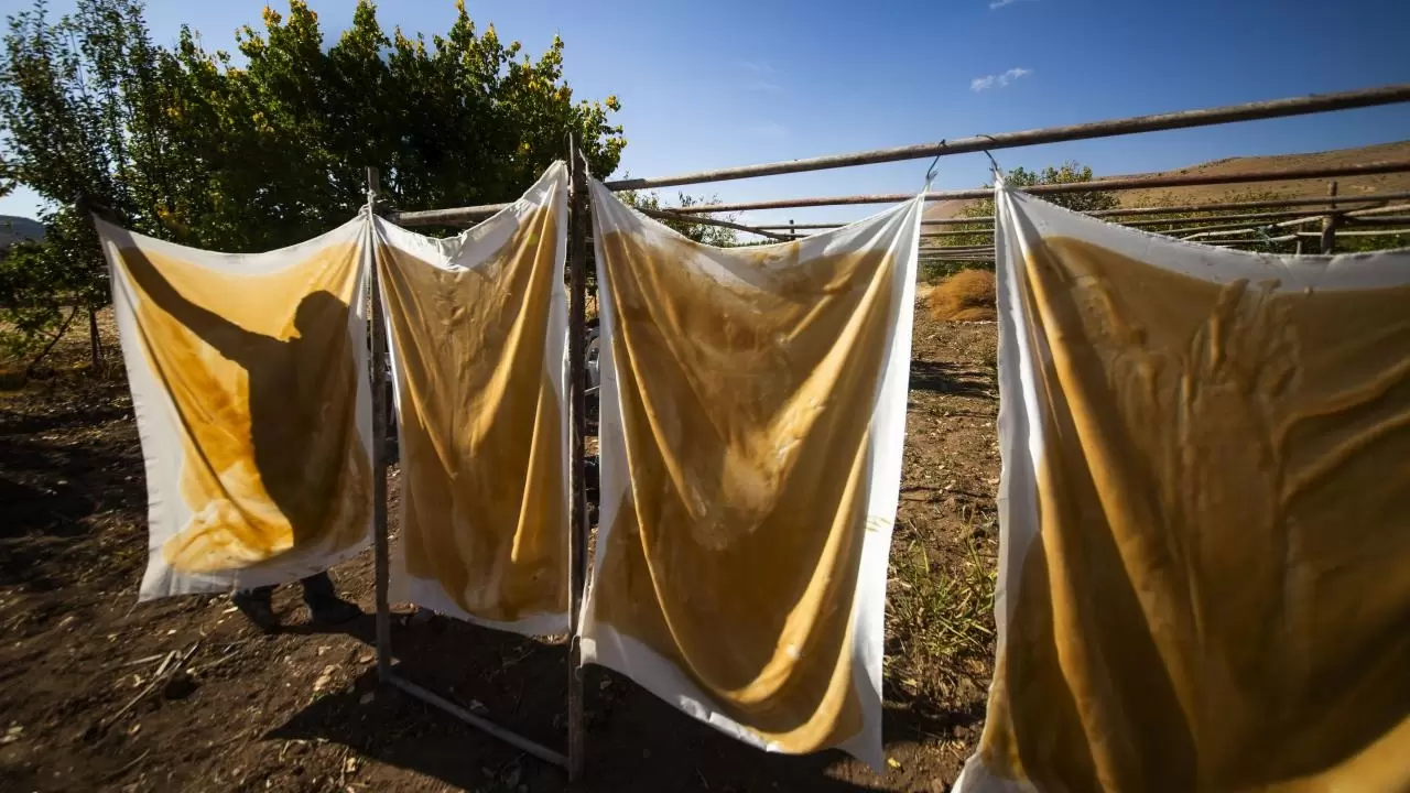 Mardin’de bağ bozumu geleneği sürüyor 11