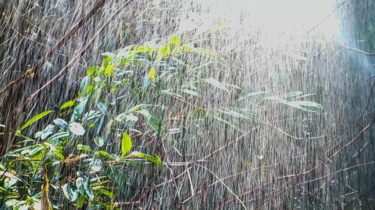 Meteoroloji’den kritik uyarı! 16 ilde kuvvetli yağış ve kar bekleniyor: İşte il il hava durumu 3