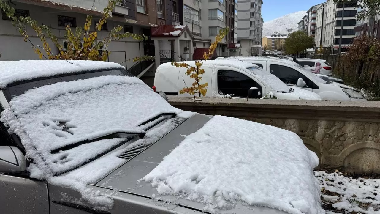 Doğu’da kış yüzünü gösterdi: 3 il beyaza büründü 2