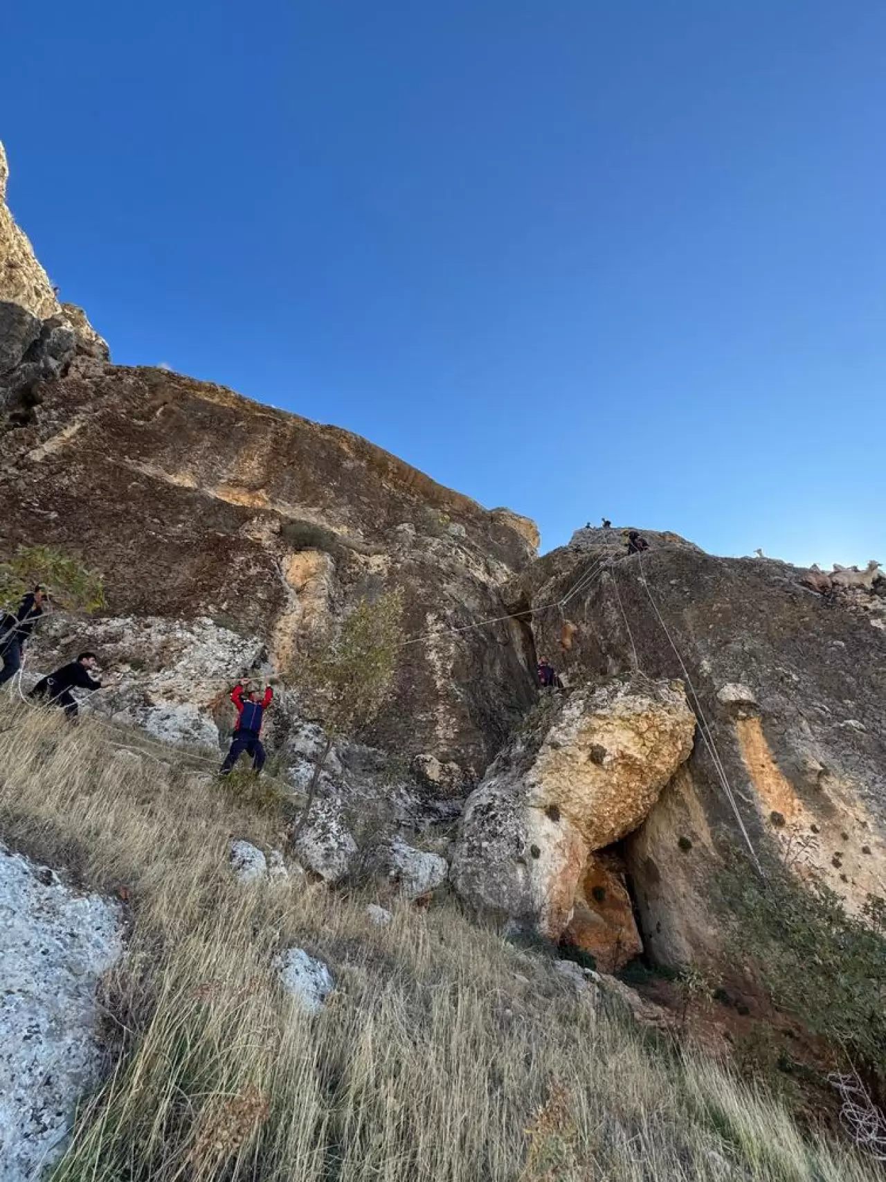 Diyarbakır'da kayalıklarda mahsur kalan 25 keçi kurtarıldı 4