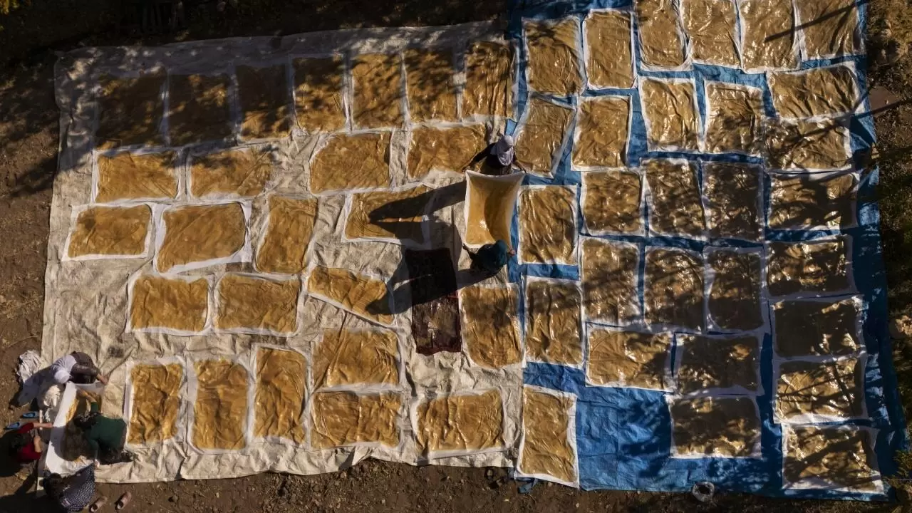 Mardin’de bağ bozumu geleneği sürüyor 3