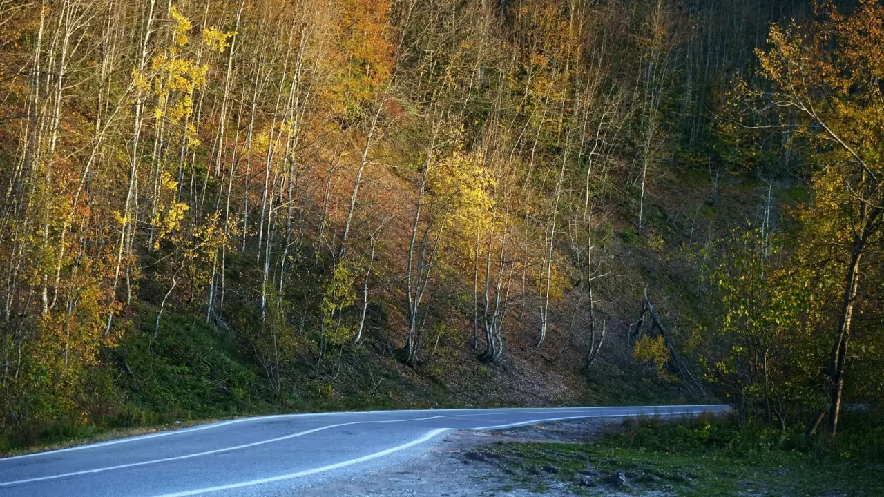 Sonbaharda Çam Dağı'nda renk cümbüşü: Doğanın görsel şöleni 10