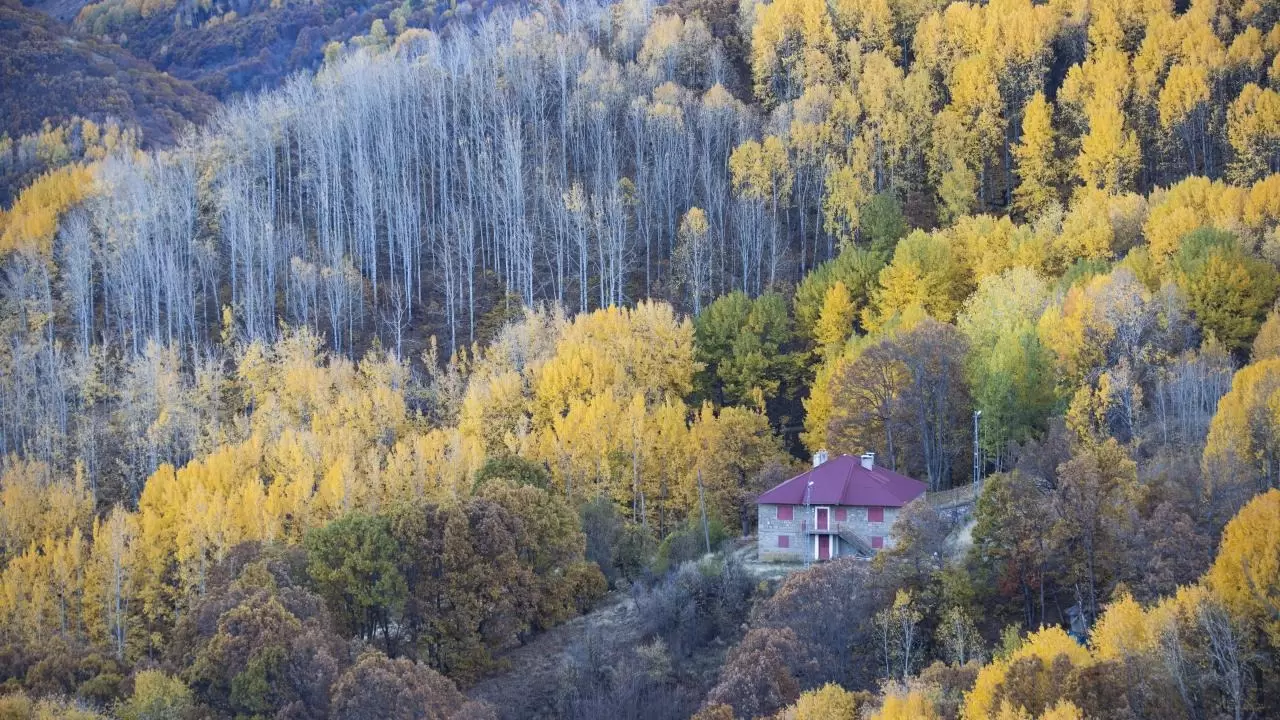 Tunceli'nin gizli cenneti: Salördek Ormanları 14