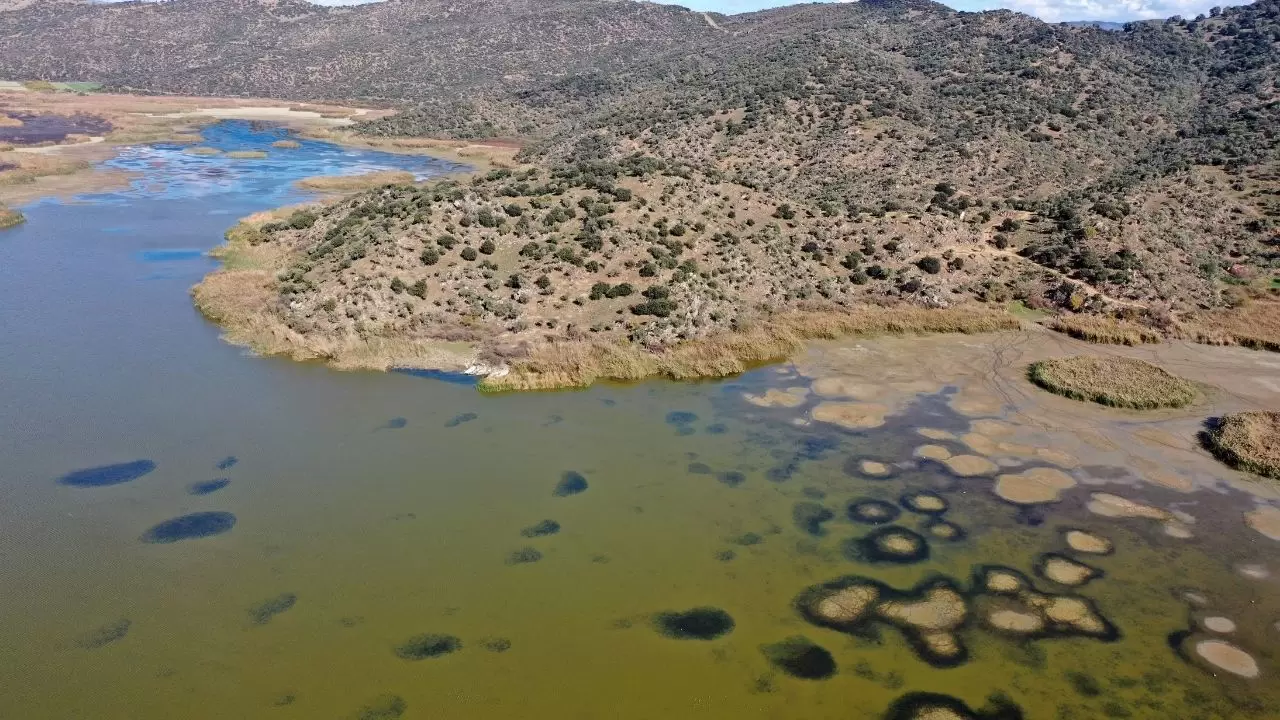 Ege’nin kartpostallık gölü kuruyor! Kuşlar ve canlılar ölümle mücadele ediyor 9