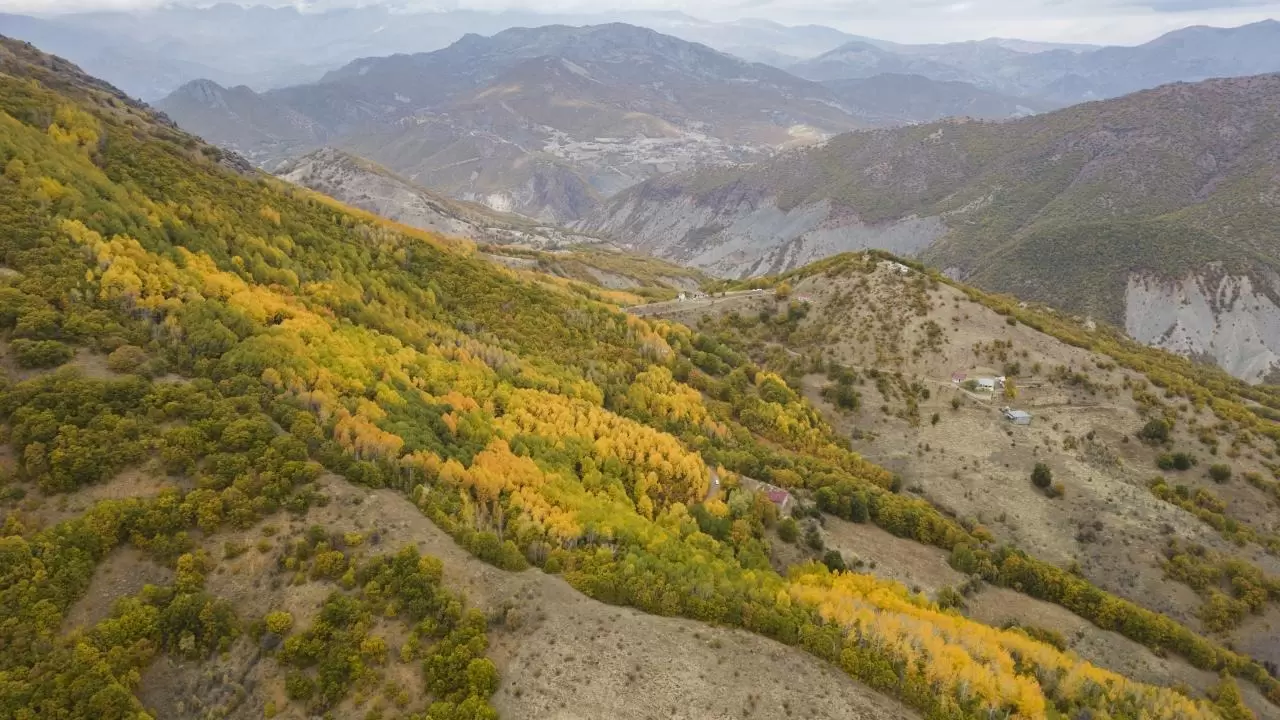 Tunceli'nin gizli cenneti: Salördek Ormanları 7
